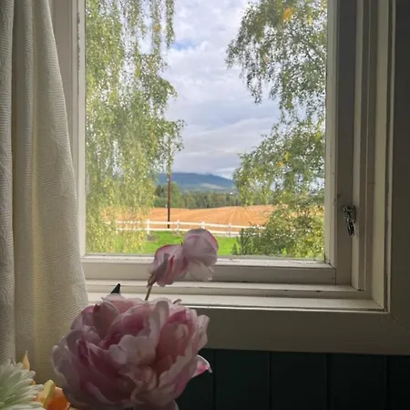 ベッド・アンド・ブレックファスト Visjon Gjestegard