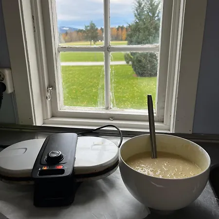 Visjon Gjestegard * Hokksund