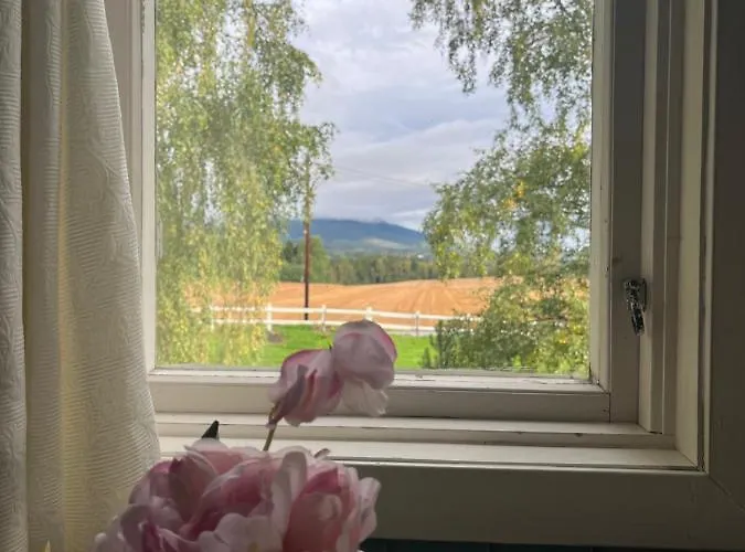 Bed & Breakfast Visjon Gjestegard